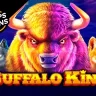 Buffalo King at Bally Casino
